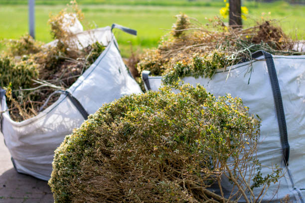 Best Moving and Downsizing Cleanouts  in La Grange, TX